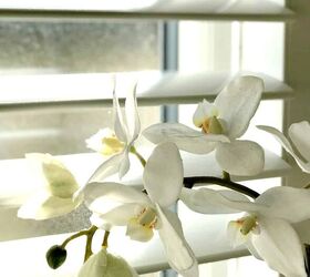 Why it's worth using fake plants in your home