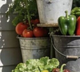 If you want to grow your own veggies and herbs in a tiny backyard, read THIS