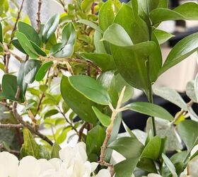 How To Make Faux Greenery Look More Realistic | Simplify