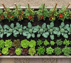 Turn your front yard into a veggie garden (yes, really!)