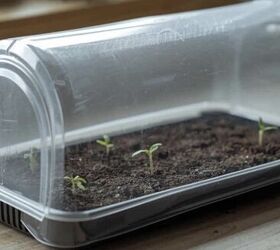 How to set up an efficient indoor seed starter setup on a budget