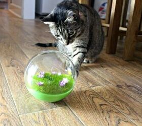 How to remove cat odors from the house quickly & naturally