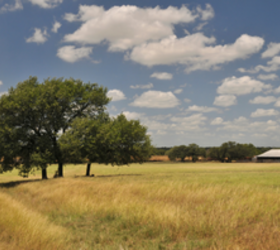 Why he loves to live in this Texas tiny house community surrounded by nature