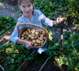 The surprising benefits of growing your own food (here's how you do it)