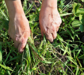 If you're looking for a frugal yet effective way to get rid of weeds, this hack is IT