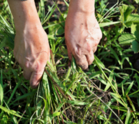 This pantry hack is the perfect, frugal way to get rid of weeds