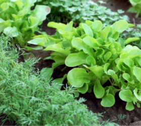 5 fun vegetable garden hacks to save you money on produce