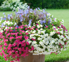 10 cheap and easy updates for the backyard (these won’t break the bank!)