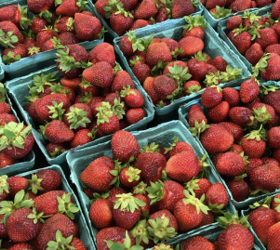 Spring produce guide: What’s in season & how to keep it fresh