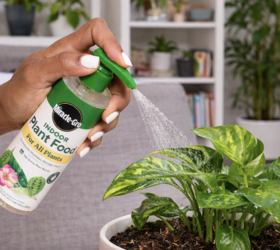 “I Thought My Plants Were Dying, But They Just Needed This.”