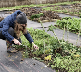 10 highly rated gardening products that help minimize back strain