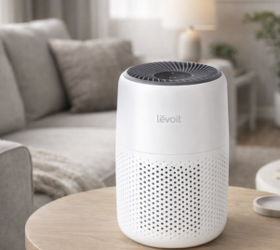 The best budget-friendly air purifiers that effectively reduce allergens
