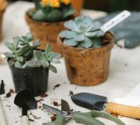15 money-saving hacks that will save you hundreds of dollars on gardening