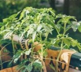 Upcycling ideas for frugal gardening that will help you grow food on a budget