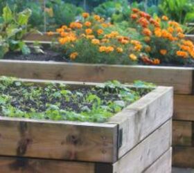 5 vegetable garden harvesting mistakes most people overlook