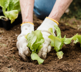 5 insanely practical ways to use Clorox around your home and garden