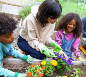 This guide will help you start a family garden with minimal effort and maximum fun