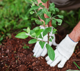 18 old-school hobbies boomers grew up with that you can start today