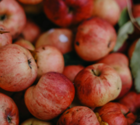 These easy apple recipes highlight the best ways to use them this fall