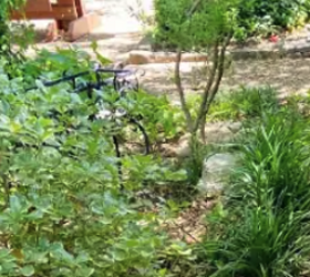 9 easy yet natural ways to keep ticks out of yards